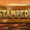 Stampede Gold Slot (BetSoft) Review